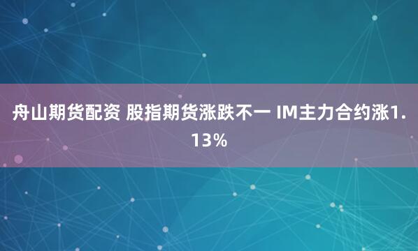 舟山期货配资 股指期货涨跌不一 IM主力合约涨1.13%