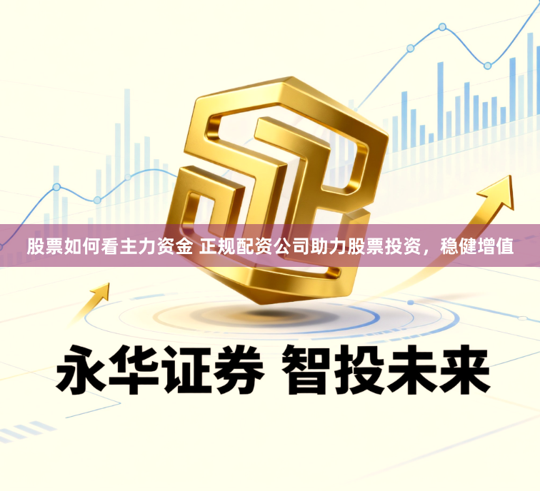 股票如何看主力资金 正规配资公司助力股票投资，稳健增值