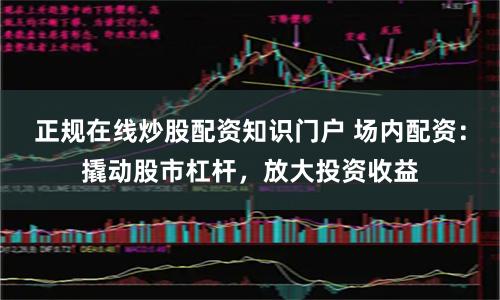 正规在线炒股配资知识门户 场内配资：撬动股市杠杆，放大投资收益